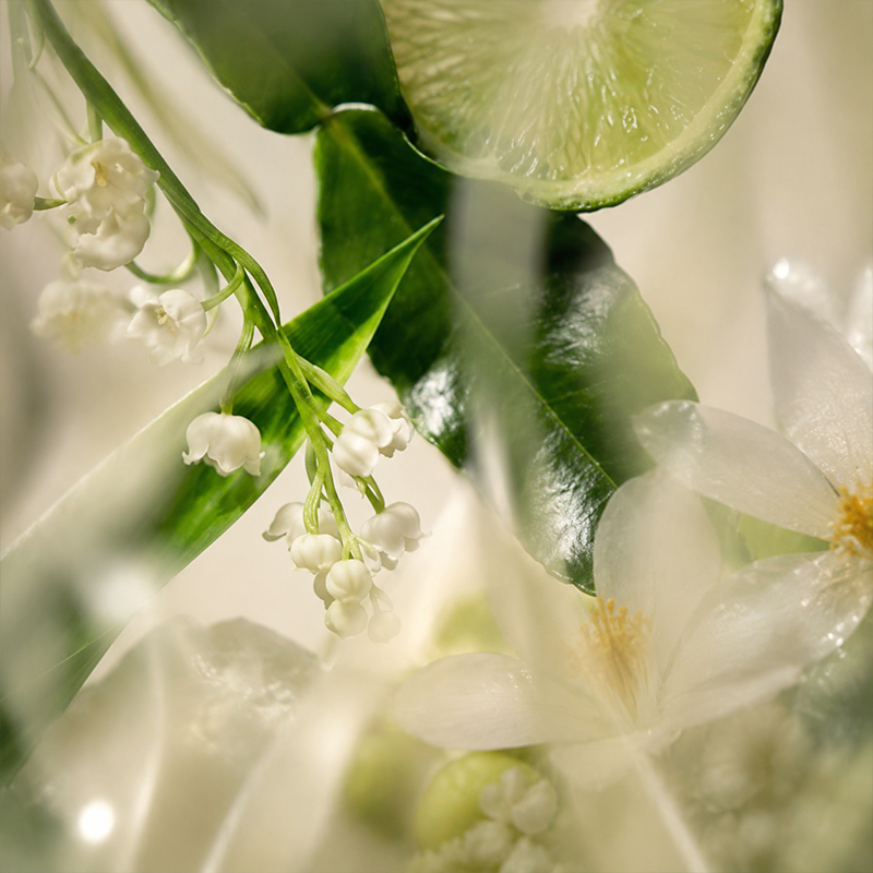Perfume